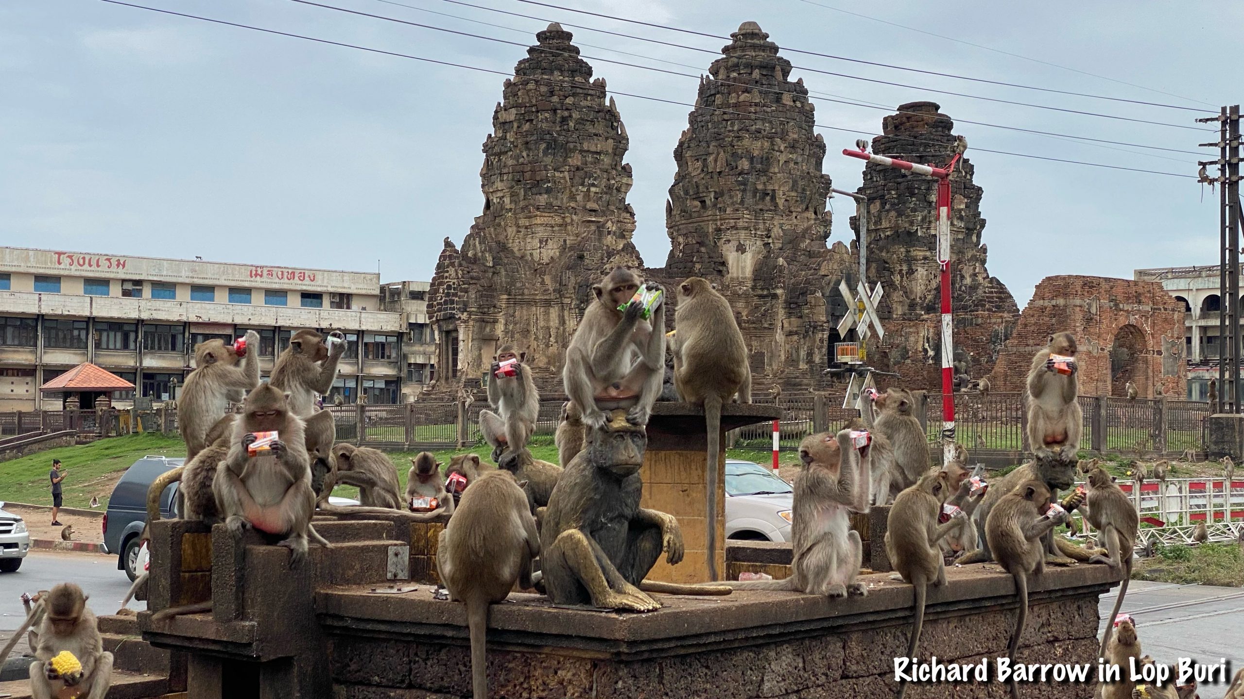 Day Trip to Lopburi Home of the Monkeys Thai Train Guide